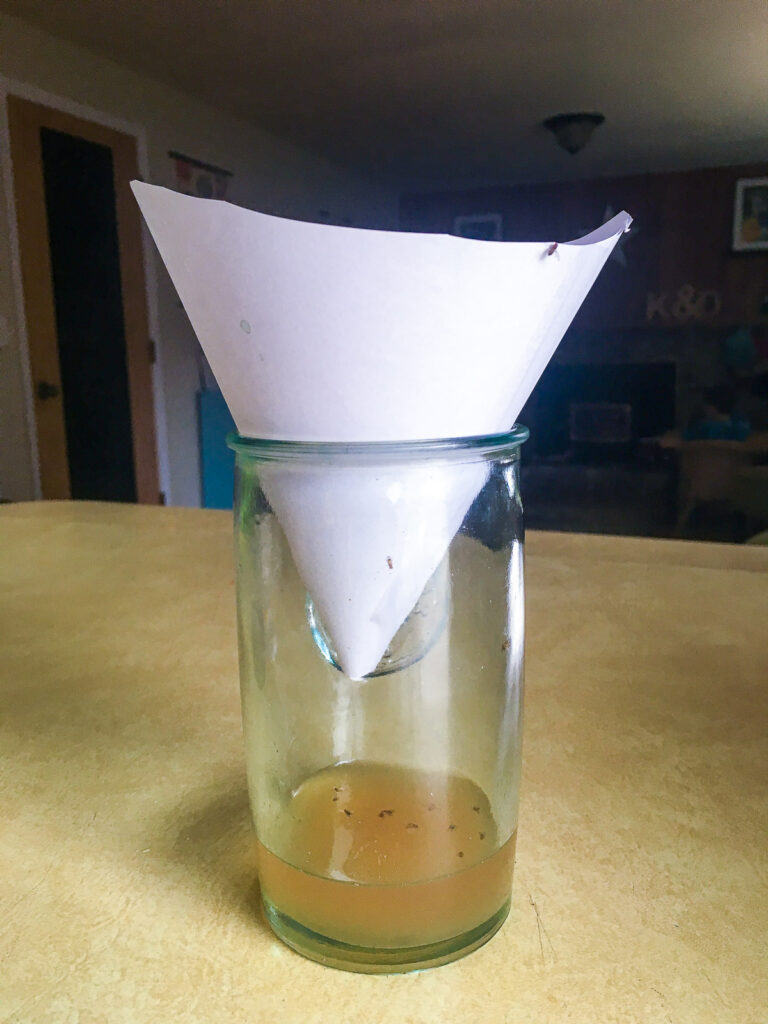 Apple cider vinegar and a paper funnel inserted into a cup are used as an at home fruit fly trap.